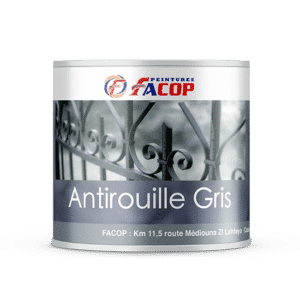 Antirouille Gris | archibat