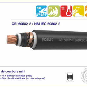 Accueil / Câbles moyenne tension HTA / CÂBLE HTA A2X2Y ET 2XS2Y CÂBLE HTA A2X2Y ET 2XS2Y | archibat